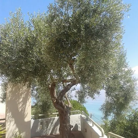 Studios Afitos Aparthotel Afytos