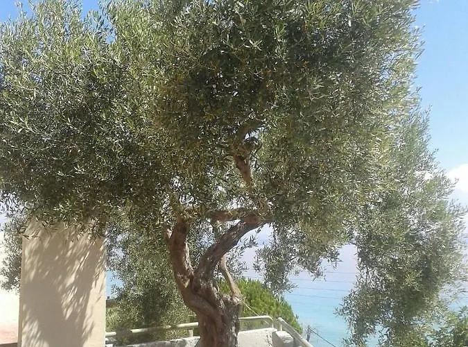 Studios Afitos Apart-hotel Áfitos