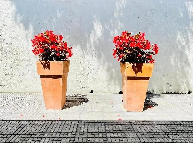 Apart-hotel Studios Afitos Áfitos